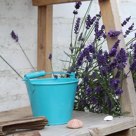 Seaside Prázdninový areál Wunstorf