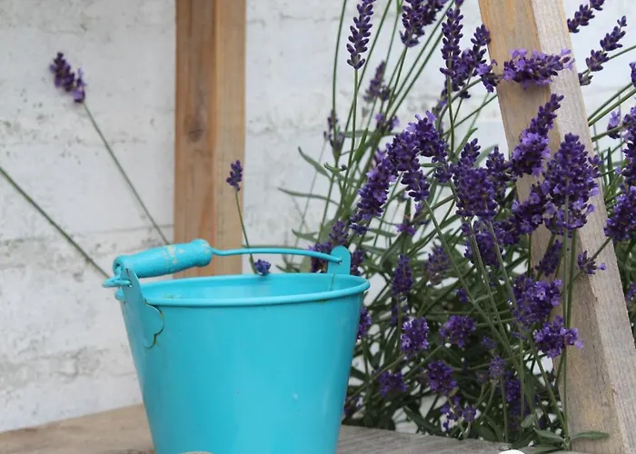 Seaside Πάρκο διακοπών Wunstorf